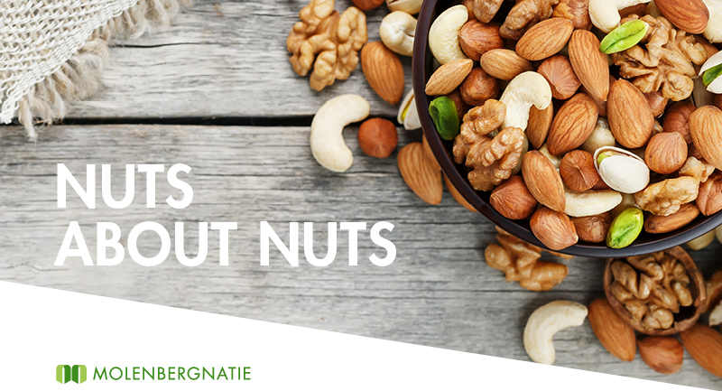 Nuts about nuts. Molenbergnatie celebrates National Nut Day, October 22nd Nuts about nuts. Molenbergnatie celebrates National Nut Day, October 22nd